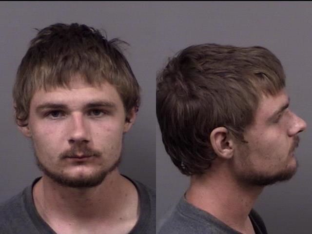 Dalton Watson arrested June 24 on a misdemeanor charge of domestic battery.